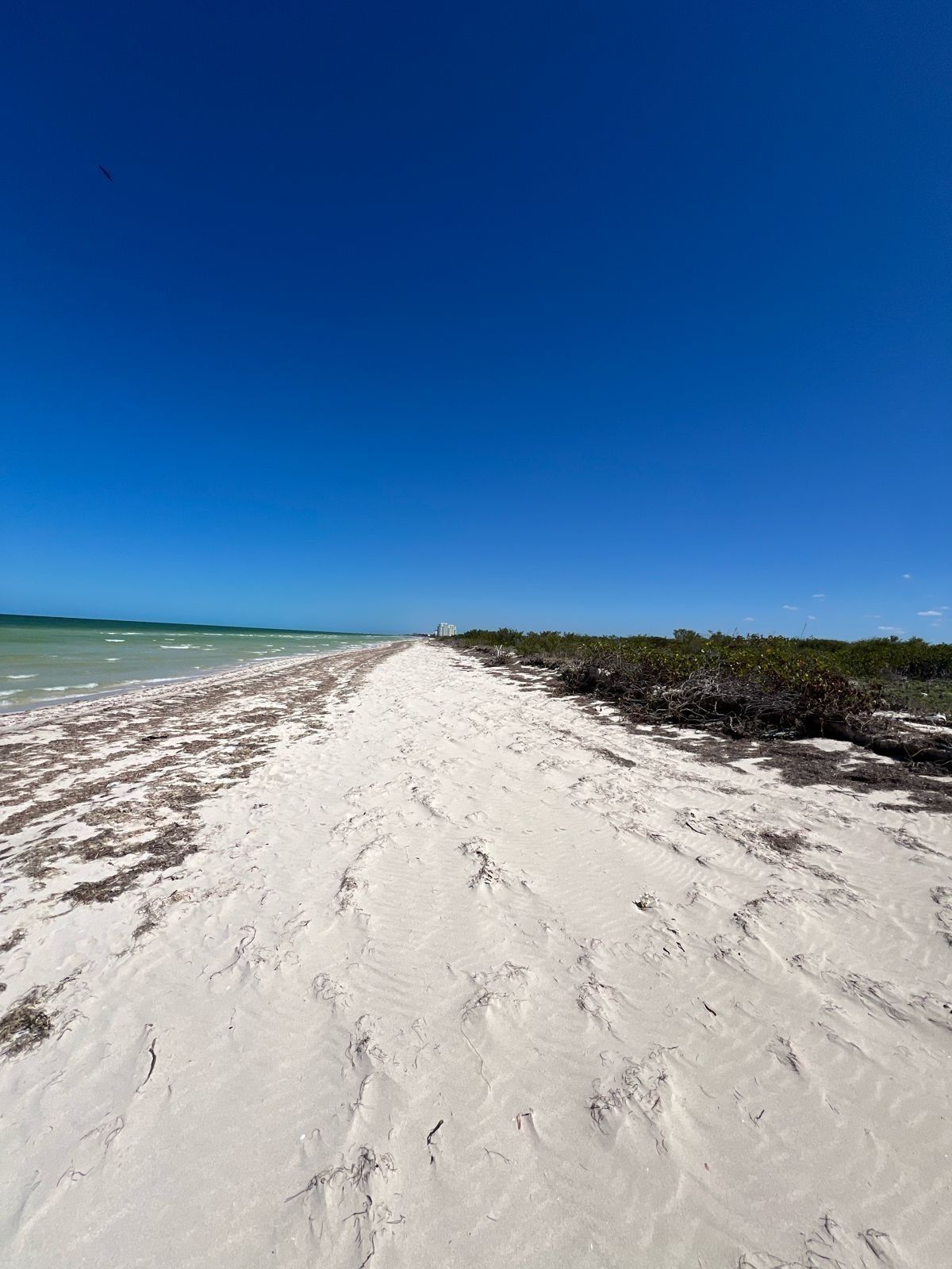 Terreno en Telchac Puerto, Yucatán — foto 2