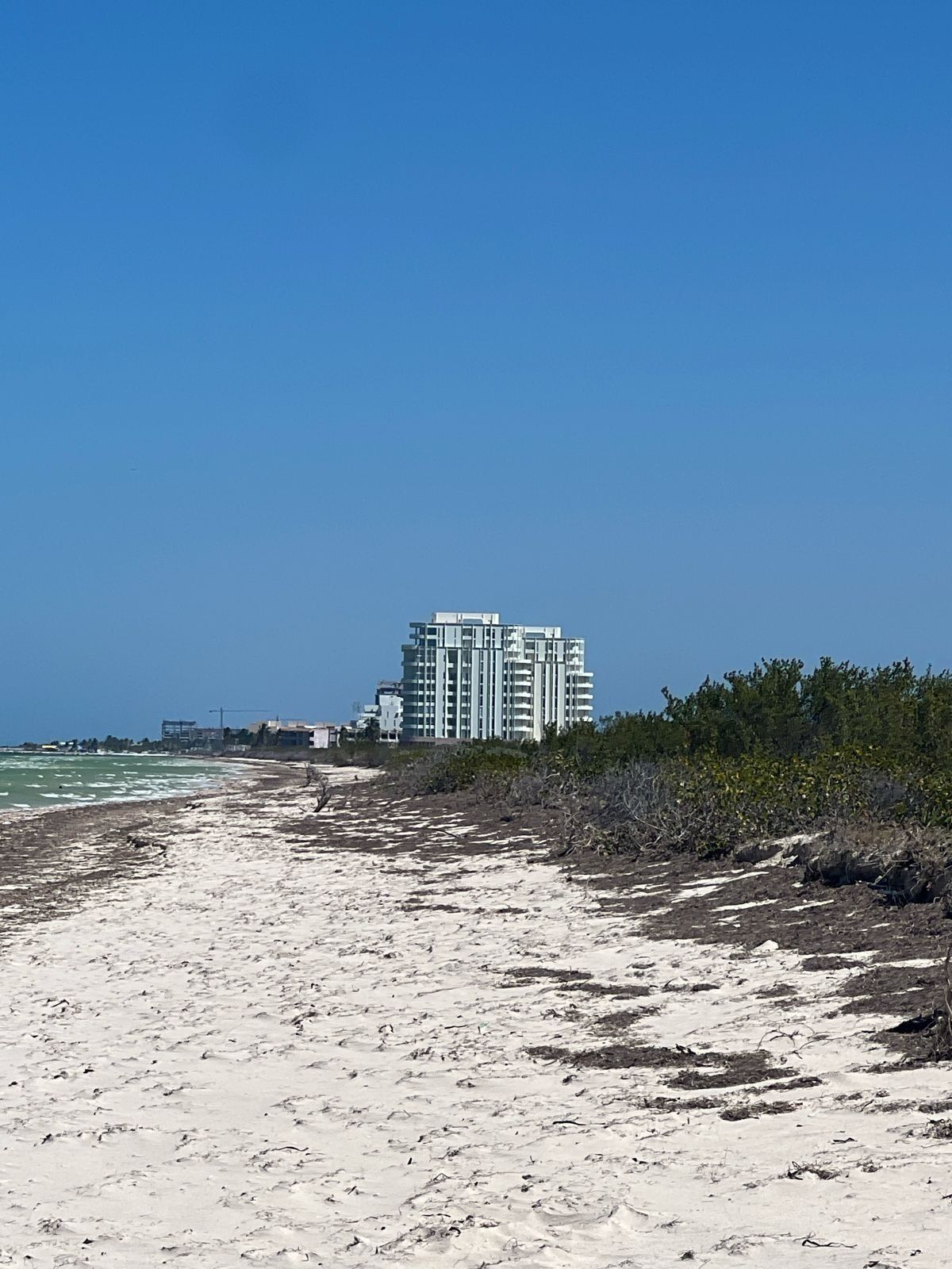 Terreno en Telchac Puerto, Yucatán — foto 3
