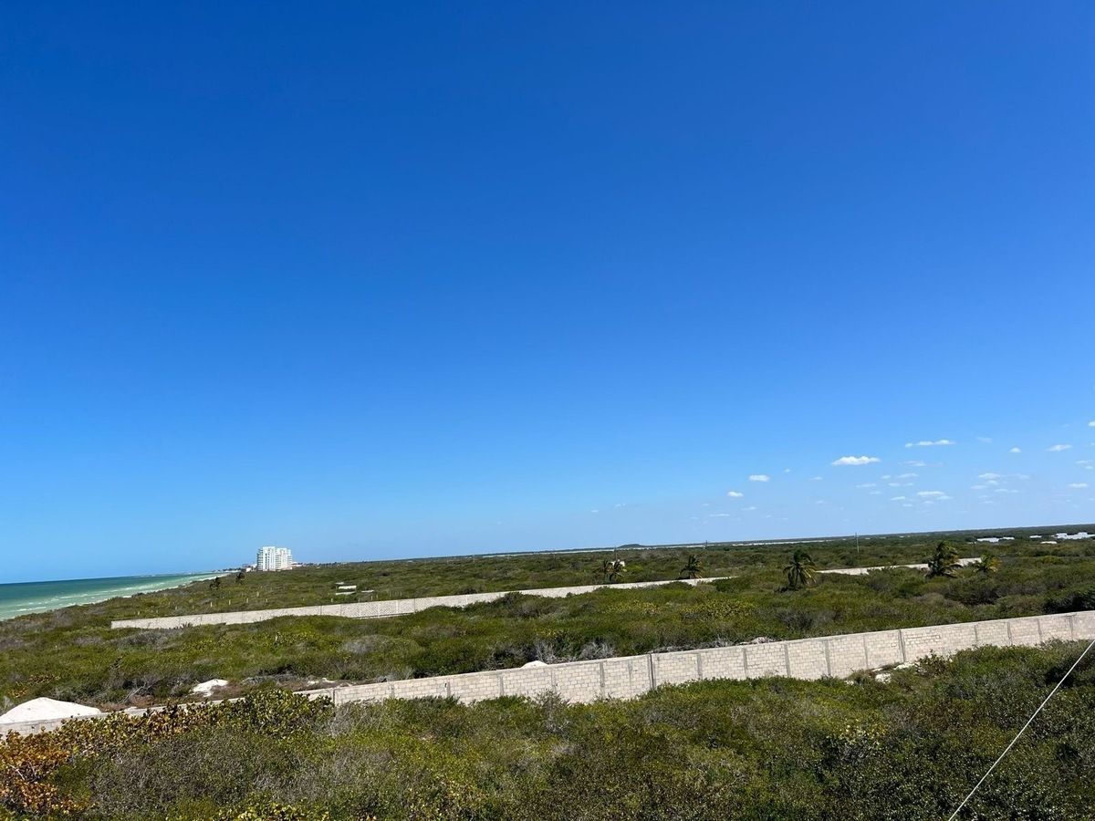 Terreno en Telchac Puerto, Yucatán — foto 5