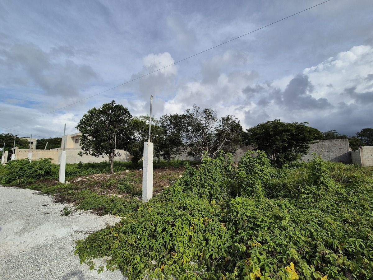 Terreno de 240 mts en Dzitya