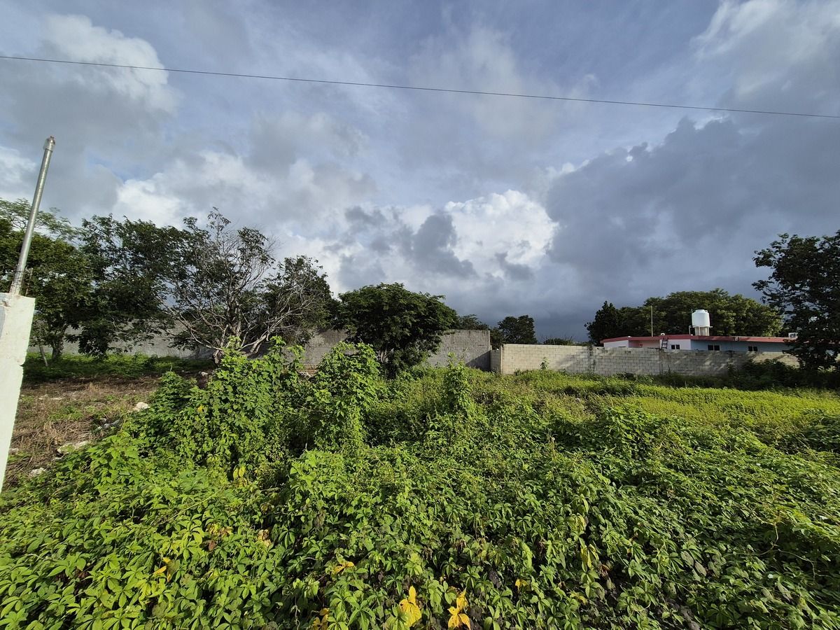 Terreno en Dzityá, Yucatán — foto 2
