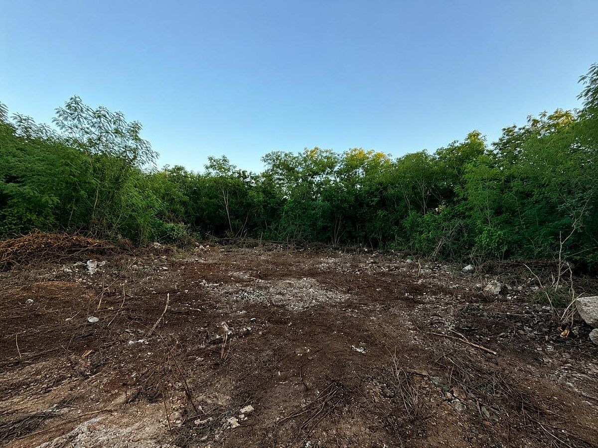 Terreno en Santa Gertrudis Copó, Yucatán — foto 4