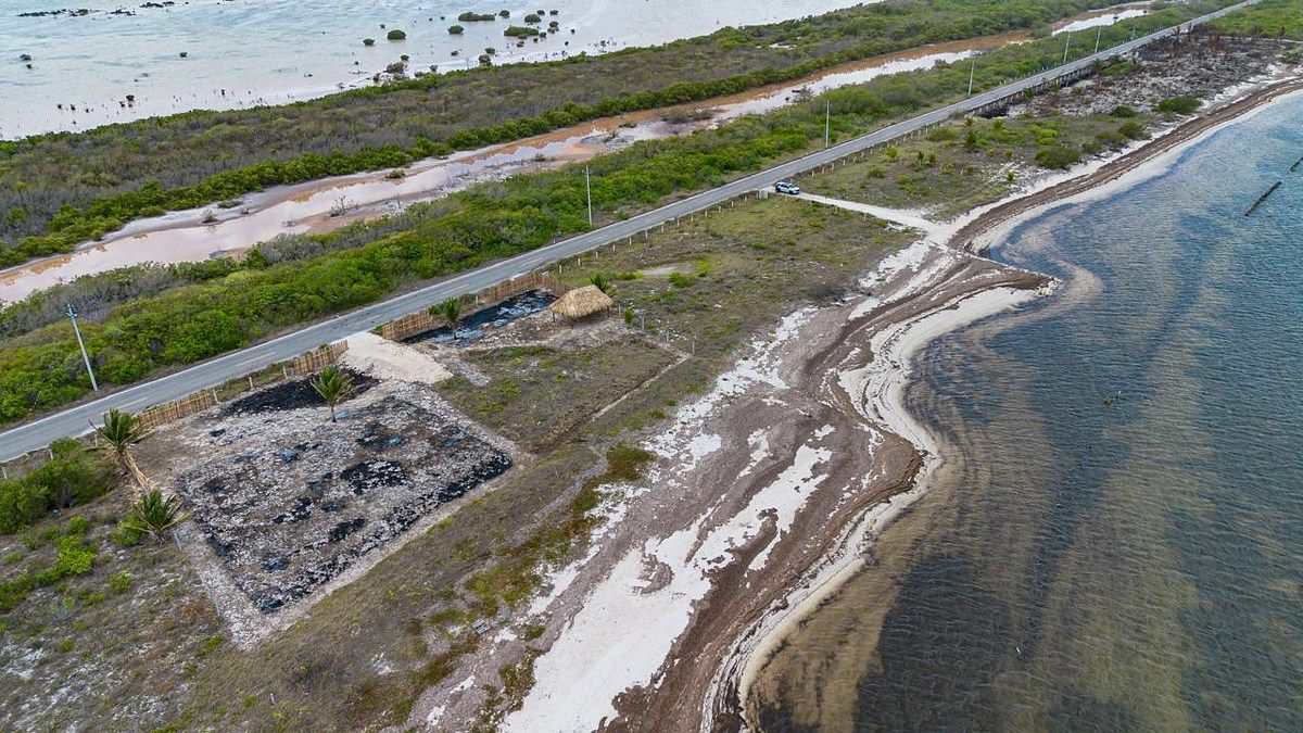 Terreno en Santa Clara, Yucatán — foto 2