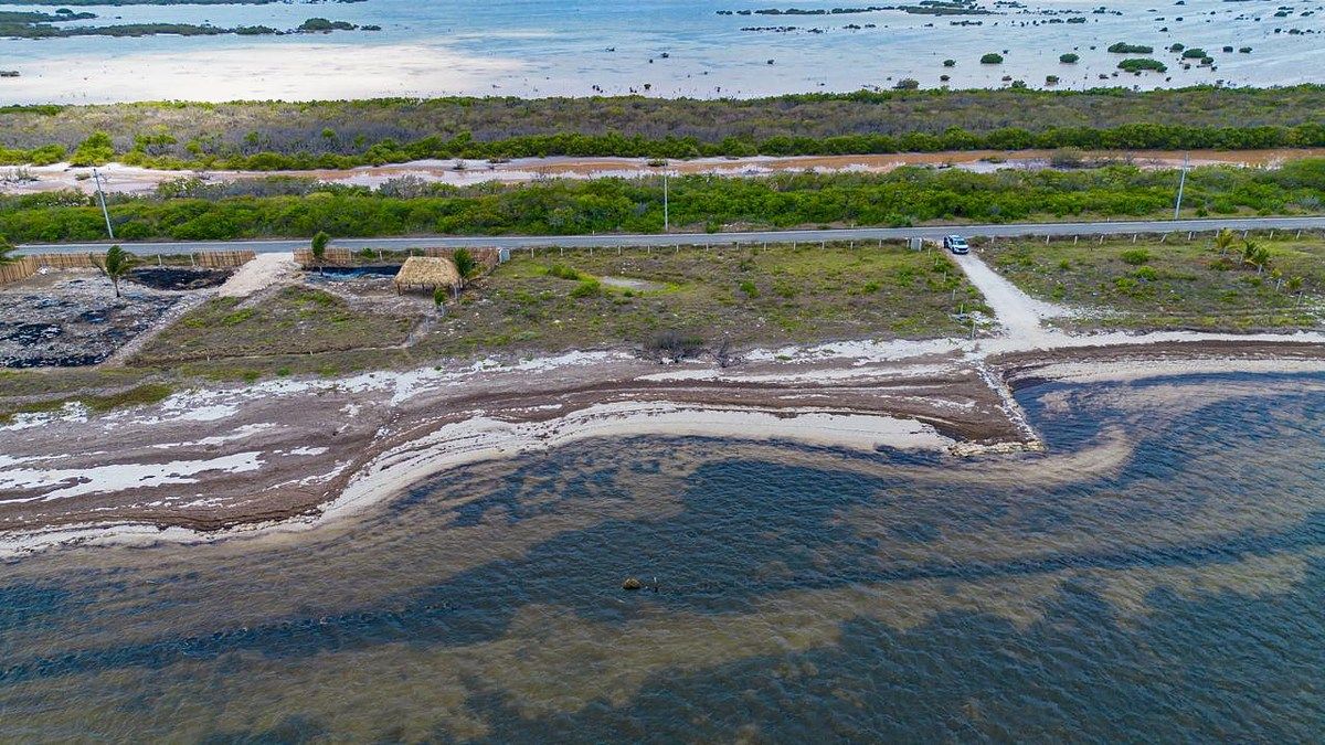 Terreno en Santa Clara, Yucatán — foto 3