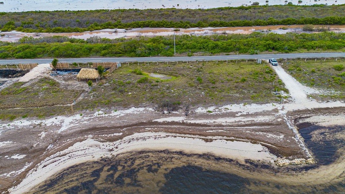 Terreno en Santa Clara, Yucatán — foto 4