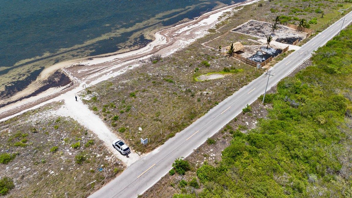 Terreno en Santa Clara, Yucatán — foto 5