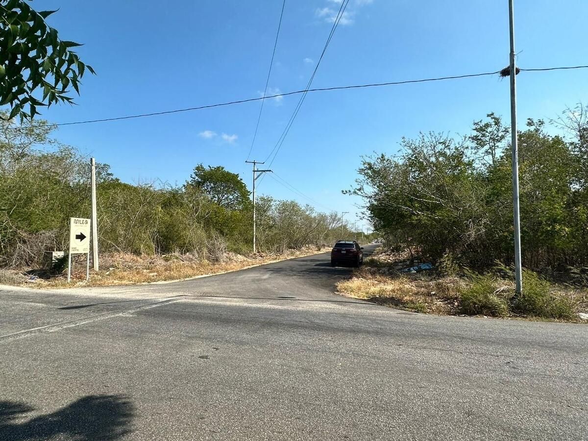 Terreno en Dzibilchaltún, Yucatán — foto 3