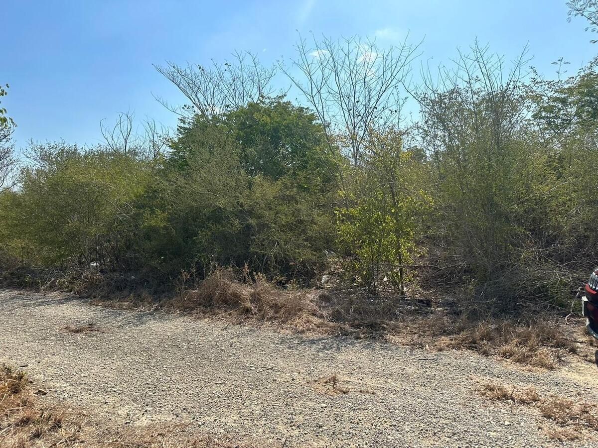 Terreno en Dzibilchaltún, Yucatán — foto 4