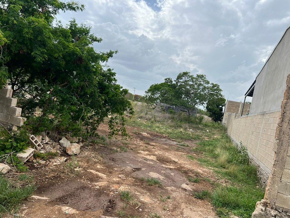 Terreno en Leandro Valle, Yucatán — foto 5