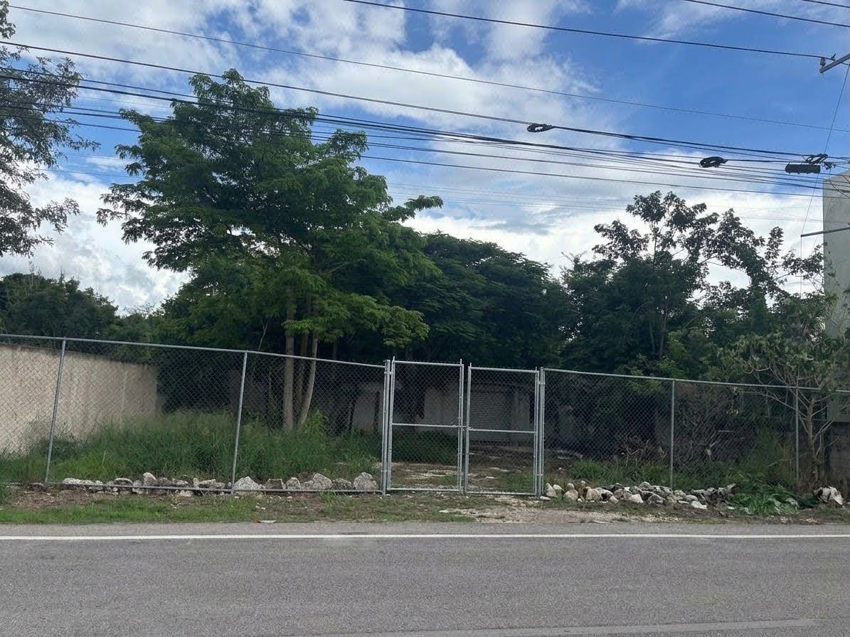 Terreno en Renta sobre Carretera Progreso. Xcanatún