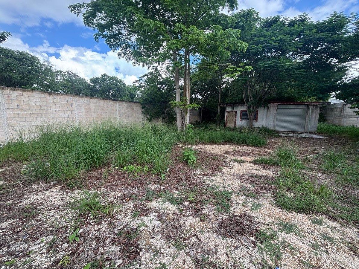 Terreno en Xcanatún, Yucatán — foto 3