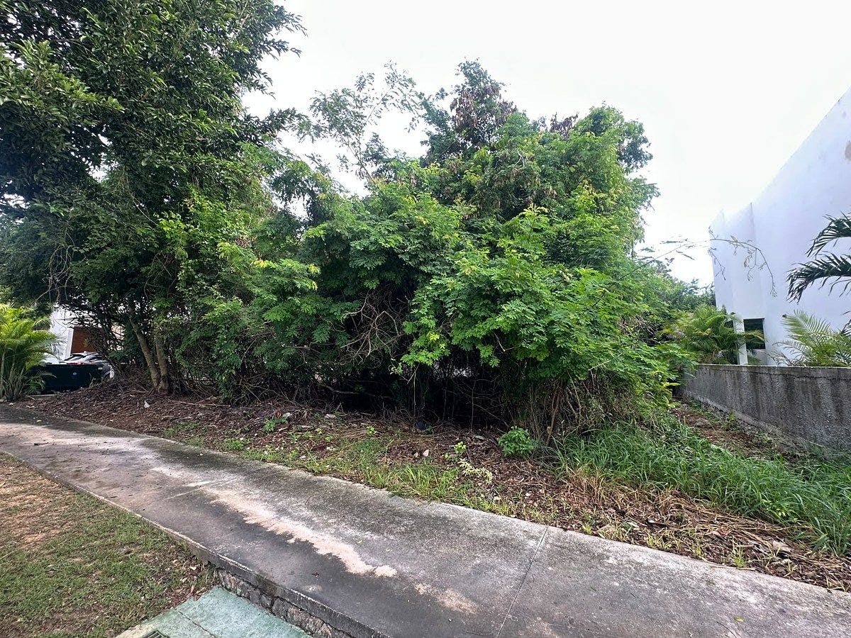 Terreno en Chablekal, Yucatán — foto 5