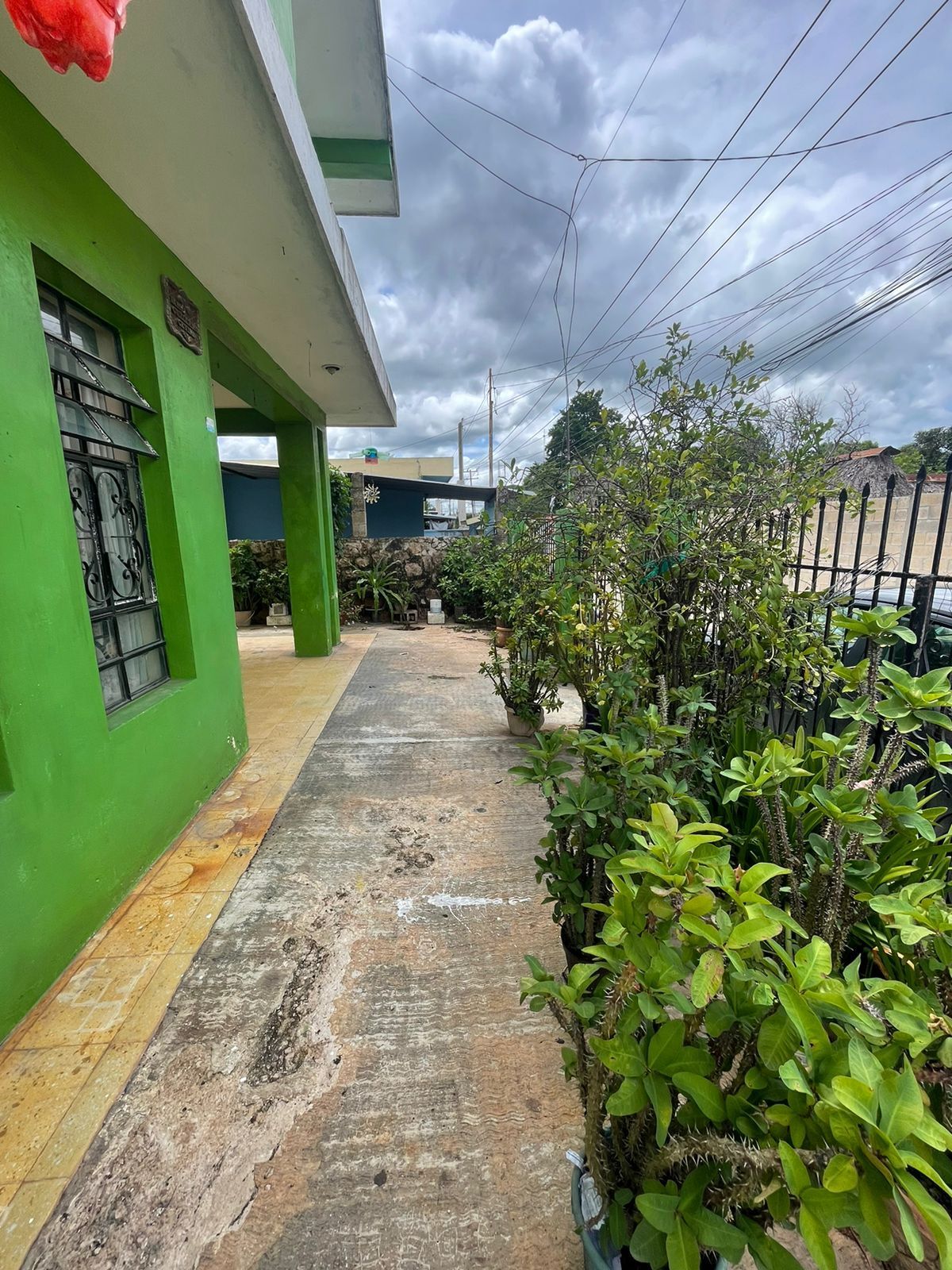 Casa en Ticul Centro, Yucatán — foto 2