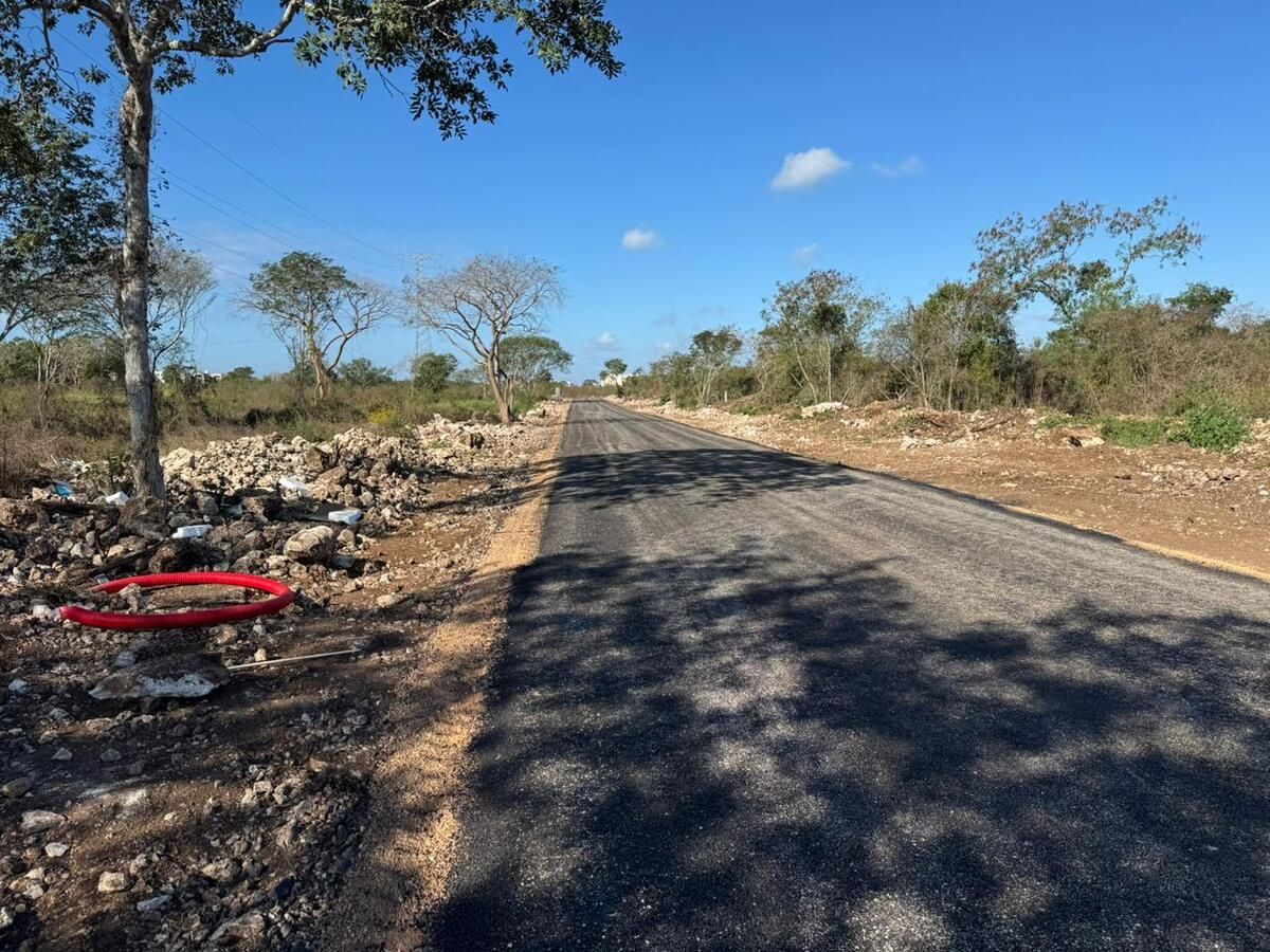 Terreno en Temozón Norte, Yucatán — foto 3