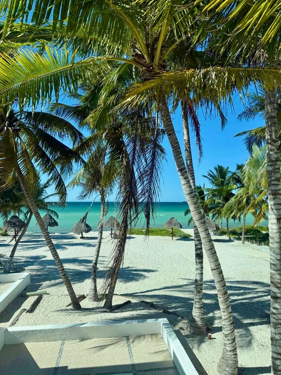 Casa en Pueblo San Bruno, Yucatán — foto 2