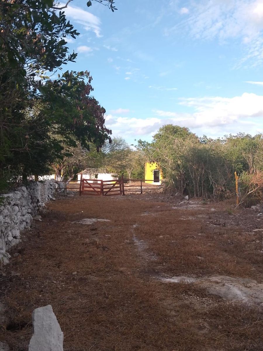 Terreno en Dzidzantun, Yucatán — foto 5