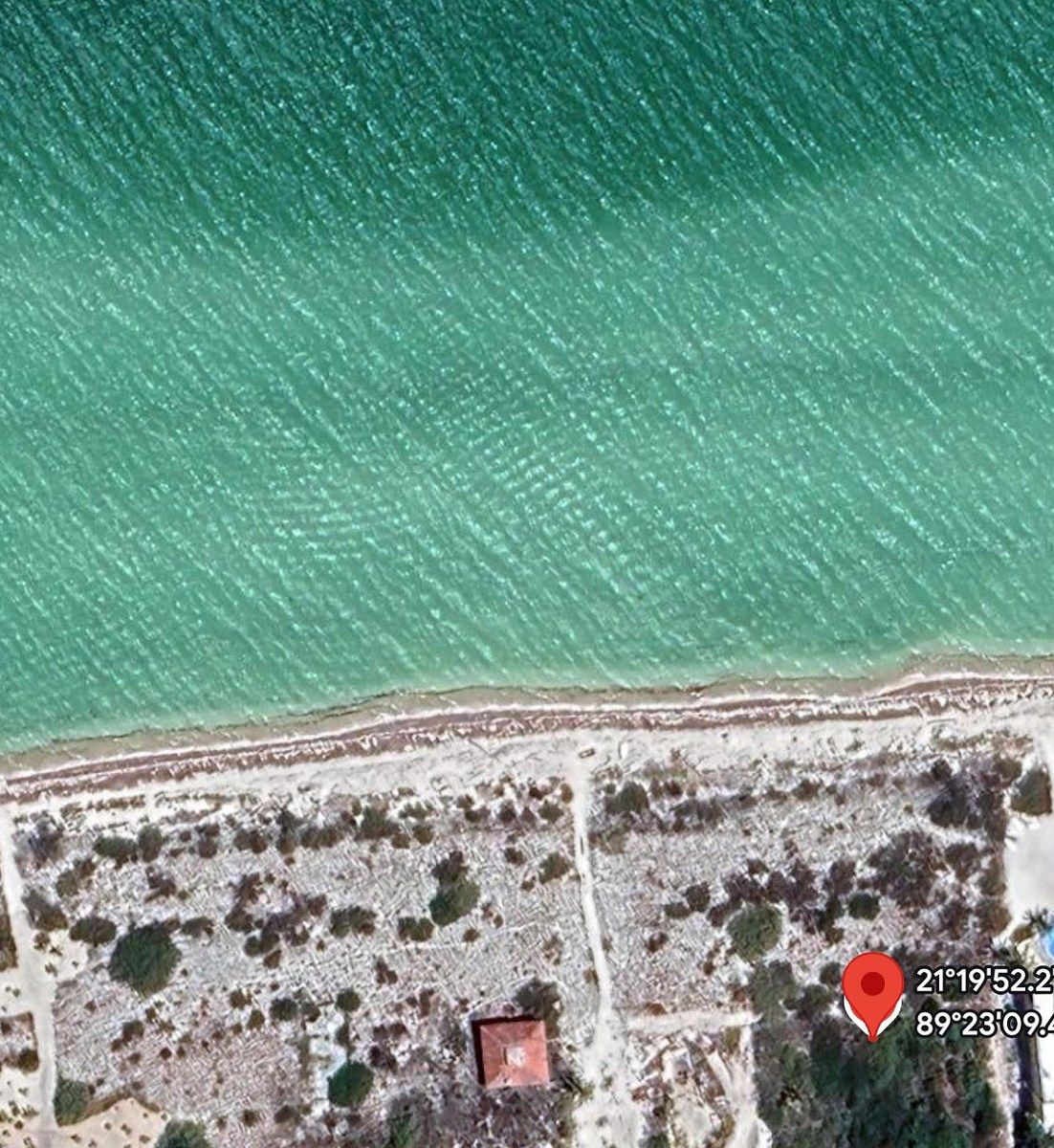 Terreno en San Bruno, Yucatán — foto 4