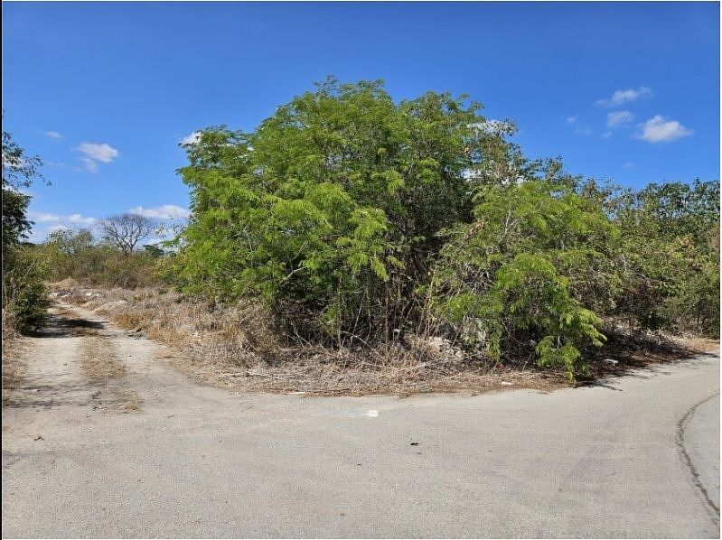 Terreno en Dzityá, Yucatán — foto 3