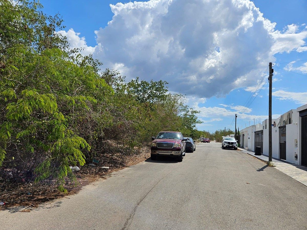 Terreno en Dzityá, Yucatán — foto 4