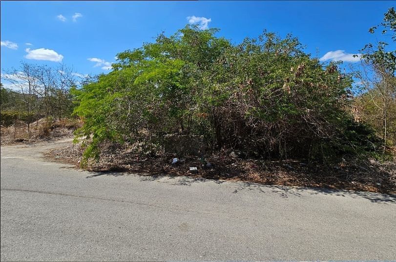 Terreno en Dzityá, Yucatán — foto 5