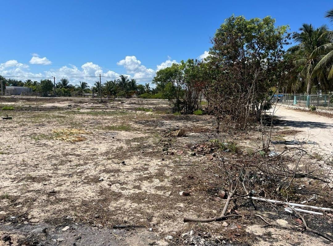 Terreno en Chuburna Puerto, Yucatán — foto 5