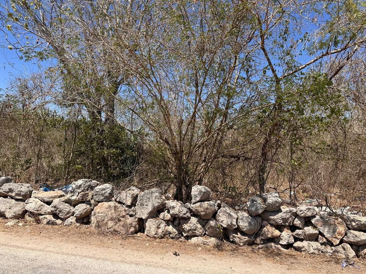 Terreno en Cholul, Yucatán — foto 2