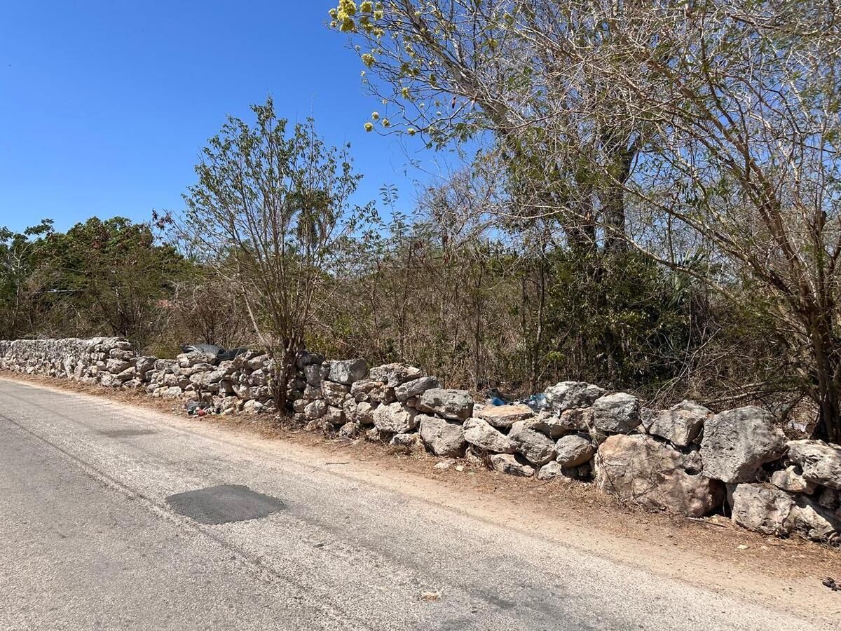 Terreno en Cholul, Yucatán — foto 4
