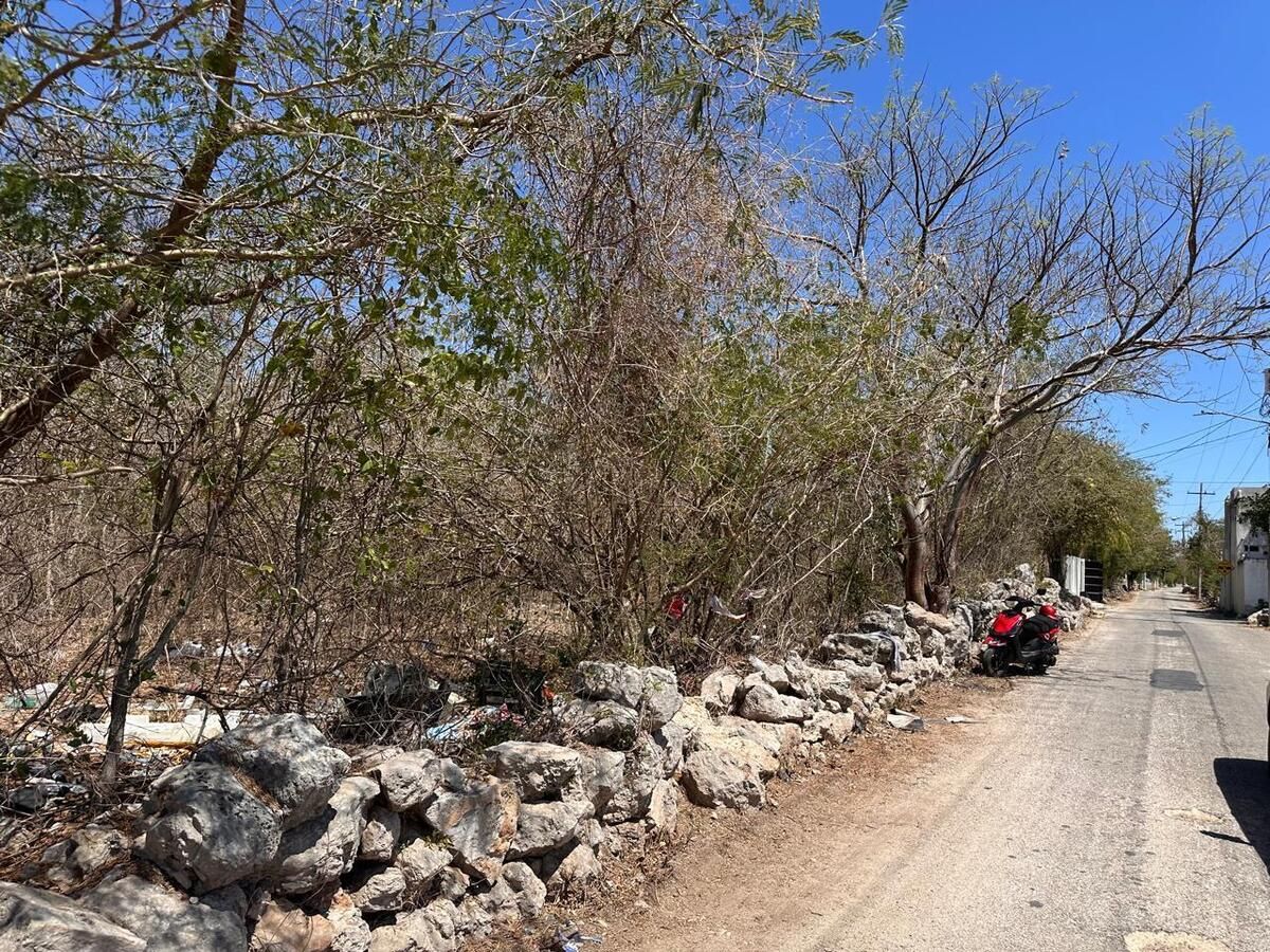 Terreno en Cholul, Yucatán — foto 5