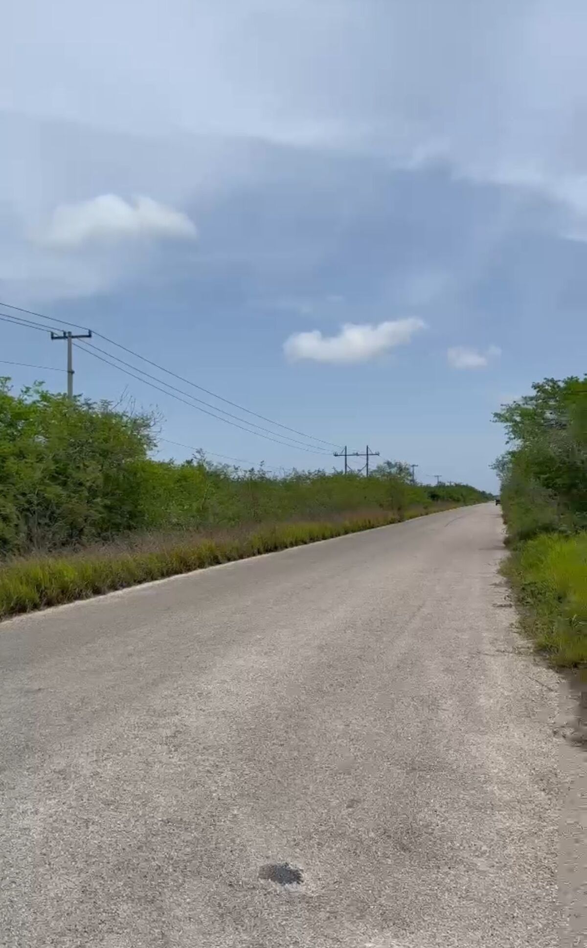 TERRENO EN  RIO LARGARTOS YUCATAN EN EXCELENTE UBICACIÓN