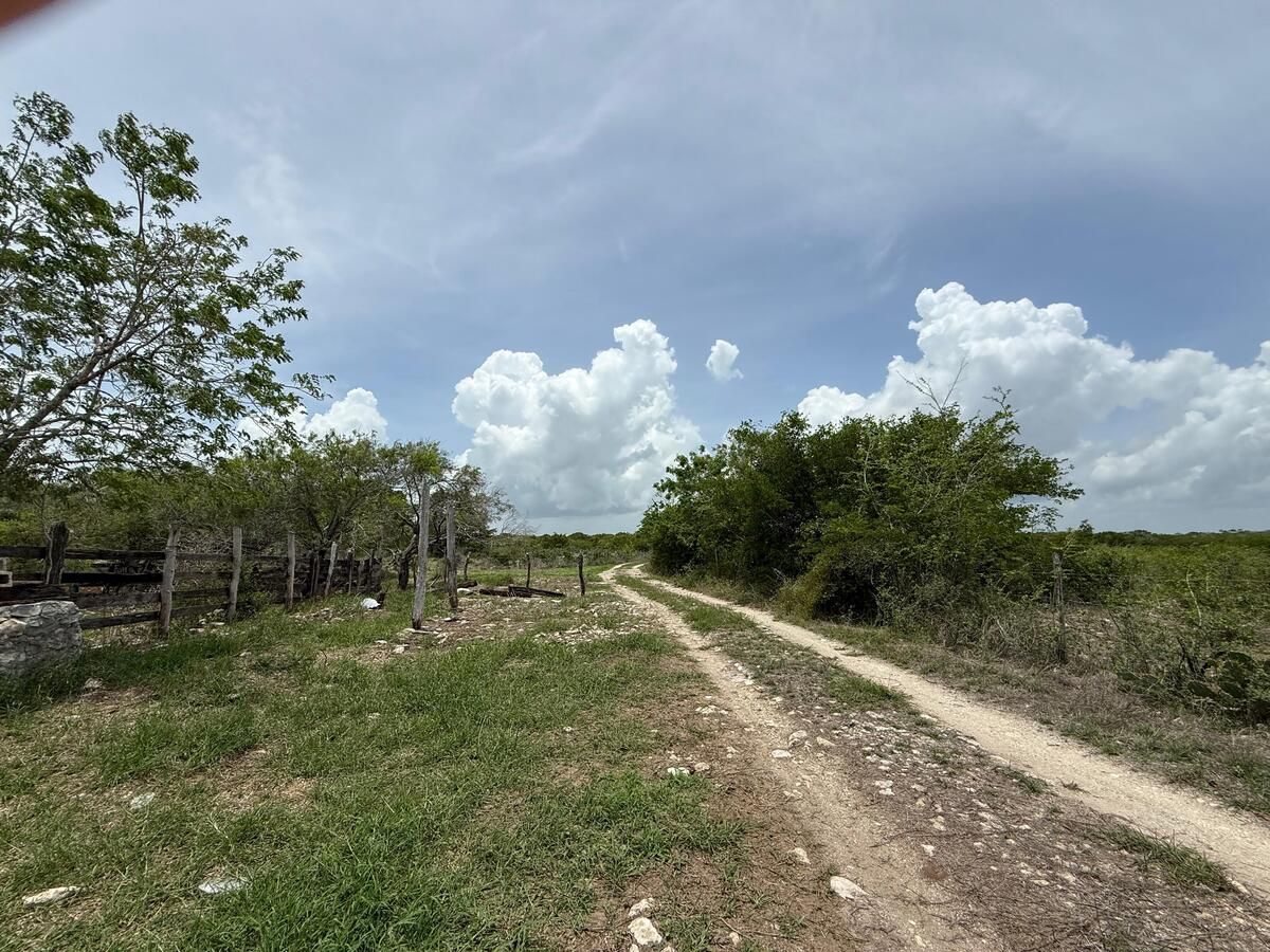 Terreno en Rio Lagartos, Yucatán — foto 4