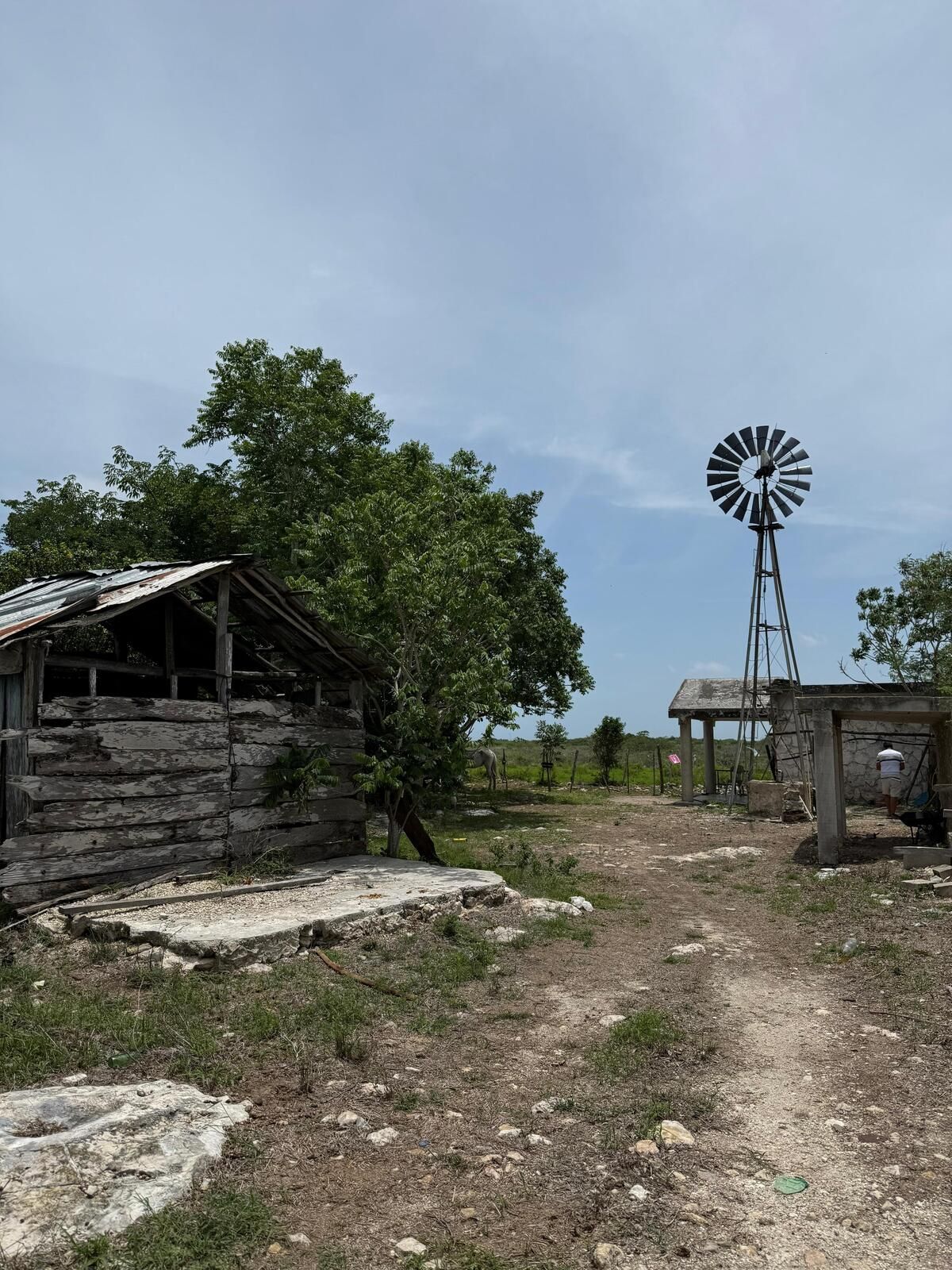 Terreno en Rio Lagartos, Yucatán — foto 5