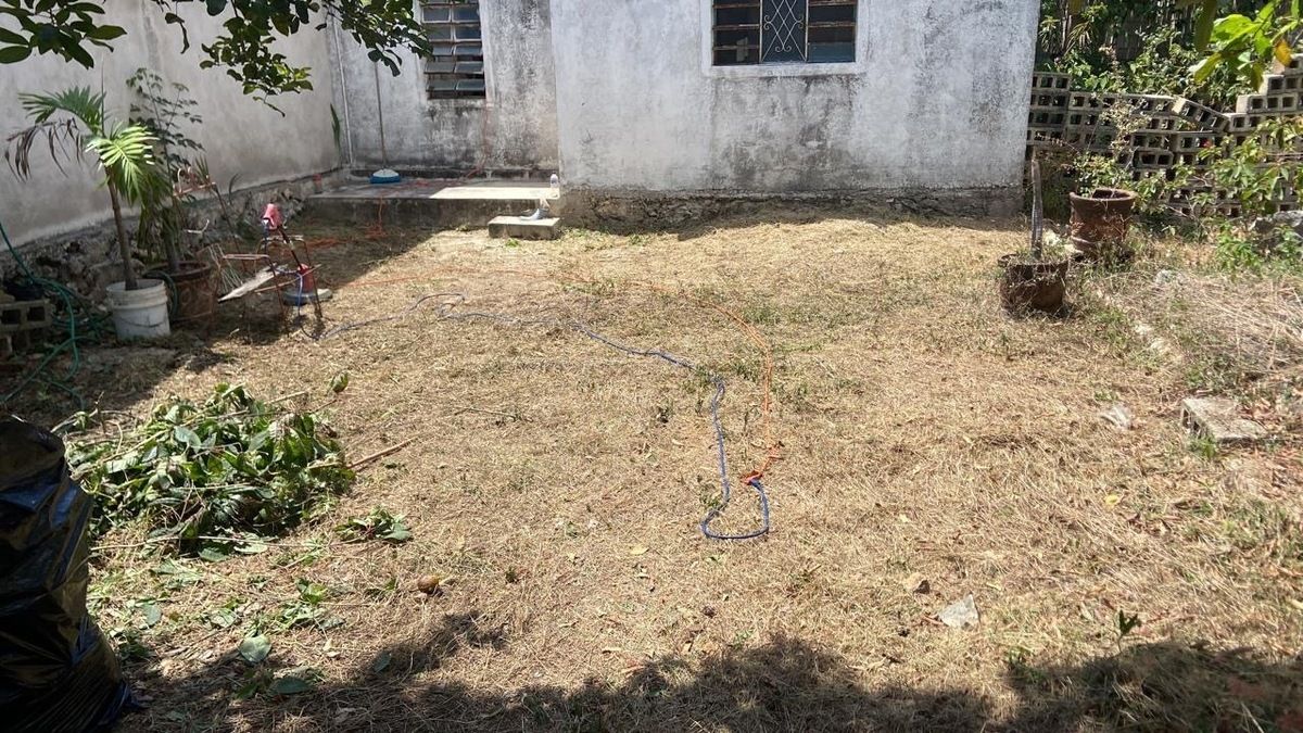 Terreno en Sodzil Norte, Yucatán — foto 3