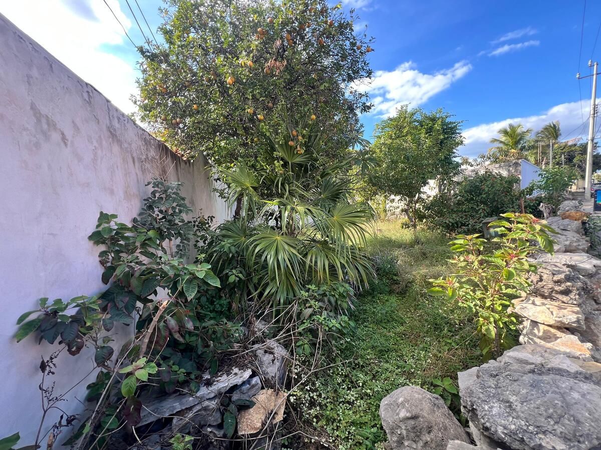 Terreno en Sodzil Norte, Yucatán — foto 3