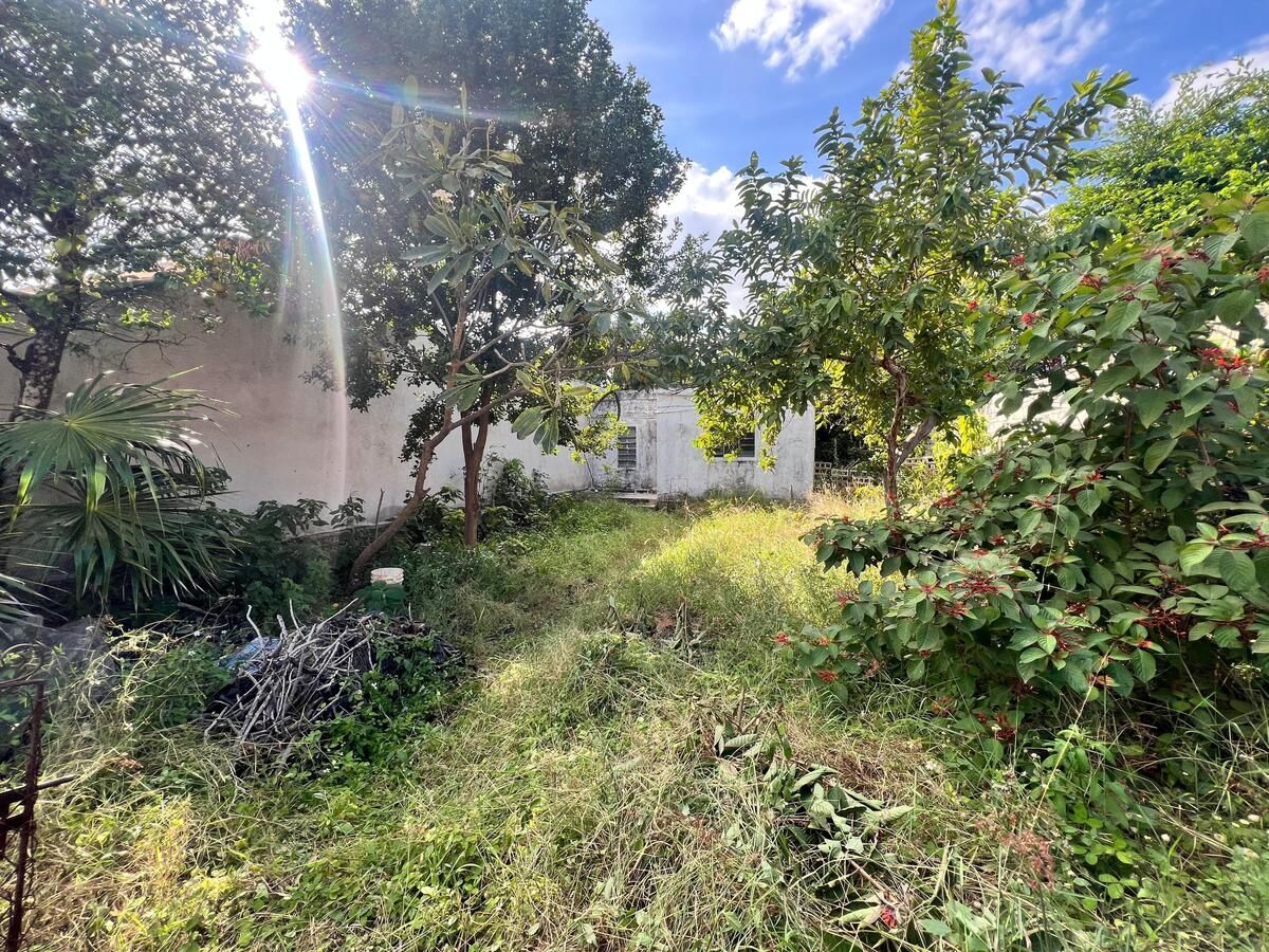 Terreno en Sodzil Norte, Yucatán — foto 5
