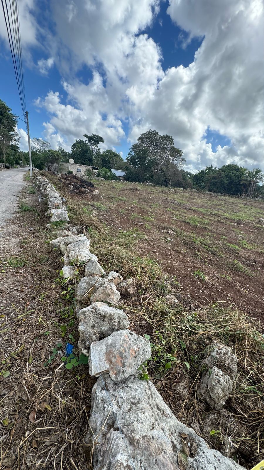 Terreno en Yobain, Yucatán — foto 2