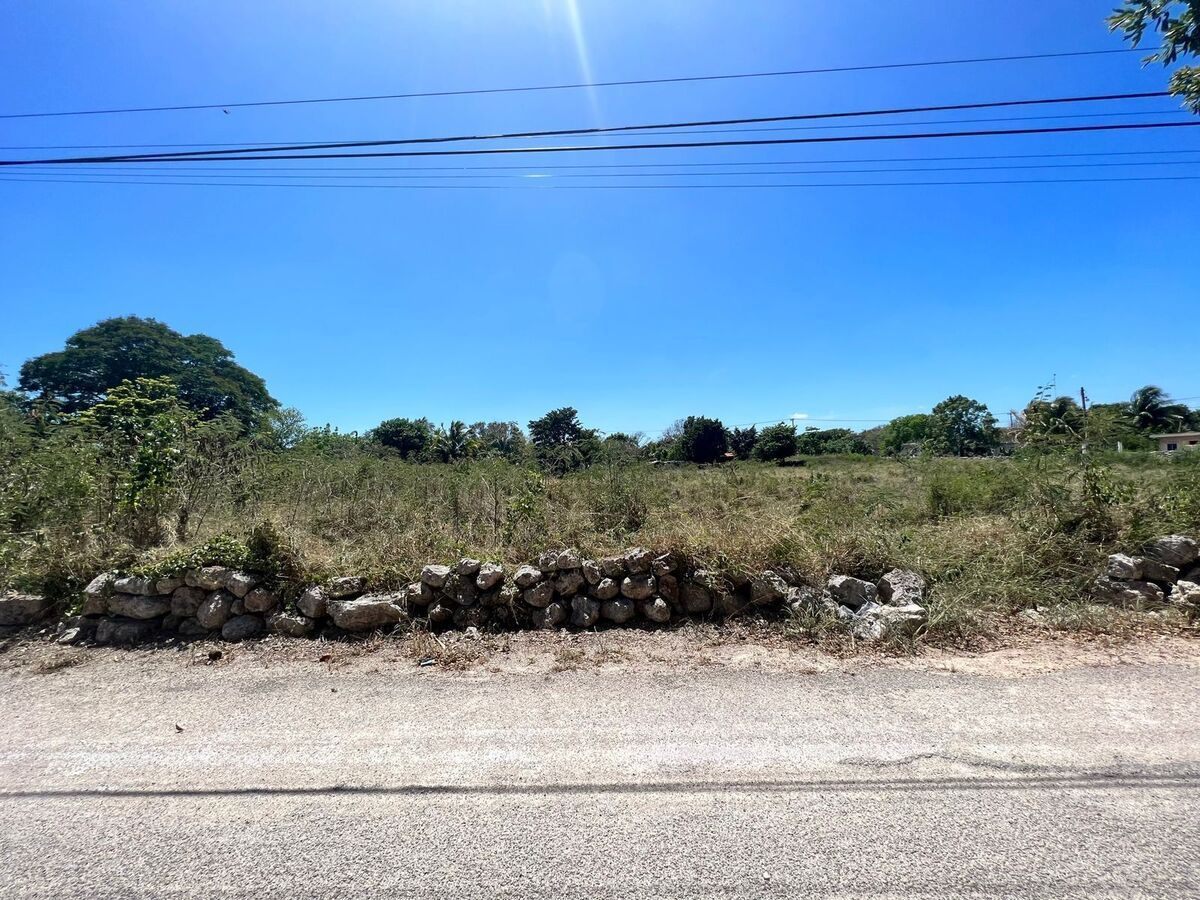 Terreno en Yobain, Yucatán — foto 4